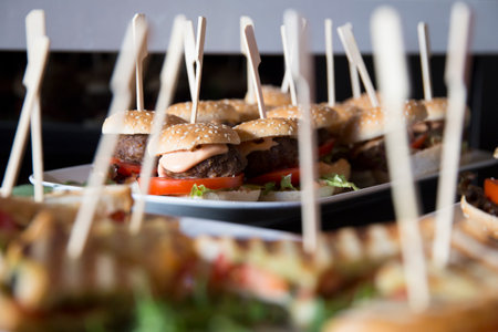 Authentic top quality American Mini Burger in small size.の写真素材