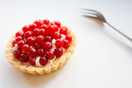 Tartlet with currant in France.の写真素材