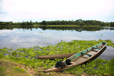Views from the Cuipari Lake in Peruvian Jungle.