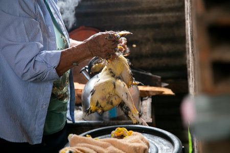 A woman plucking a chicken and cooking it in the Peruvian jungle.の写真素材