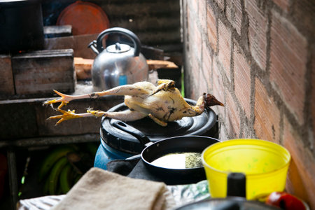 A woman plucking a chicken and cooking it in the Peruvian jungle.の写真素材