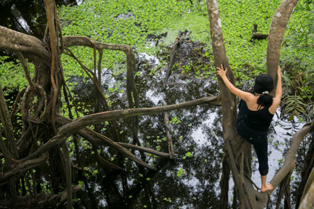 The Renaco is a tree that grows in rivers, lakes and aquatic forests, during the winters of the...