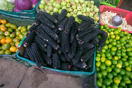 Purple corn is a group of Zea mays varieties that have a purple fruit. They grow mainly in the Andes of Peruの写真素材