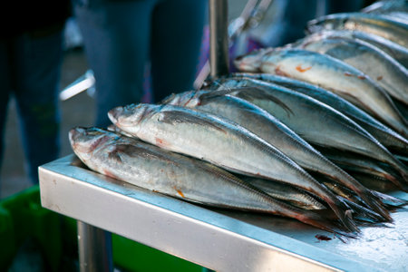 Fish stalls at Sant Camilo food market in Arequipa, Peru.
