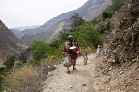 Local farmers in the town of San Juan de Chuccho in the Cola Canyon in Peru.の写真素材