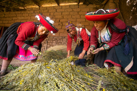 Maras, Peru; 1st October 2022: Celebrating Pachamanca feast with a Quechua tribe in the Sacred...