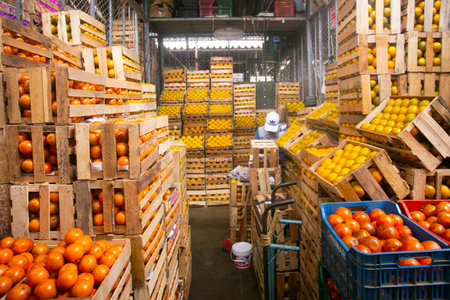 Lima Peru; 1st January 2023: Commercial activity in the central fruit market of the city of Lima in Peru.の写真素材