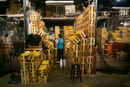 Lima Peru; 1st January 2023: Commercial activity in the central fruit market of the city of Lima in Peru.の写真素材