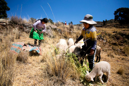 Llachon, Peru; 1st January 2023: Local people from the LlachÃ³n peninsula province on Lake...