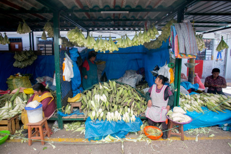 Cusco, Peru; 1st January 2023: Woman selling corn in a food market stall in San Pedro market in Cusco.のeditorial素材