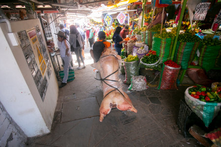 Cusco, Peru; 1st January 2023: Stall selling meat in the central market of Sant JerÃ³nimo de Cusco in Peru.のeditorial素材