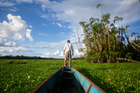 Fisherman working in Cuipari Lake in the peruvian jungle.のeditorial素材
