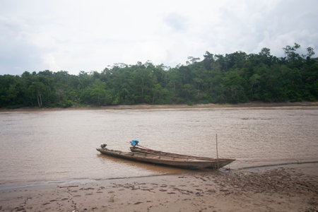 Huallaga river pass near the town of Chazuta in the Peruvian jungle.のeditorial素材
