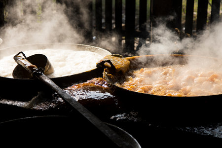 Coconut sugar farm at organic plantation in the Samut Songkram province of Thailand.の写真素材