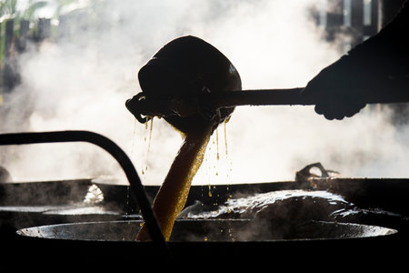 Coconut sugar farm at organic plantation in the Samut Songkram province of Thailand.の写真素材