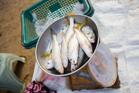 Fish stall at a beach market in Sichon province in southern Thailand.の写真素材