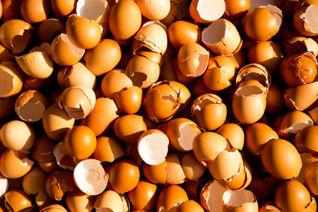 Eggshells at a street food stall in Bangkok, Thailand.の写真素材