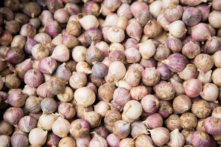 Pile of garlic cloves at a street food stall in the city of Bangkok in Thailand.の写真素材