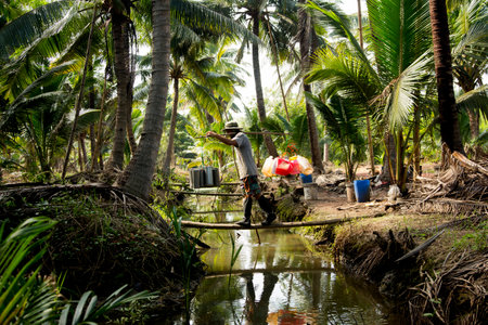 Samut Songkhram, Thailand; 1st January 2023: A young local farmer working on an organic coconut plantation.のeditorial素材