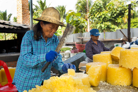 Samut Songkhram, Thailand; 1st January 2023: People working on an organic coconut plantation in Thailand producing sugar.のeditorial素材