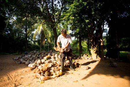 Koh Yao, Thailand; 1st January 2023: A farmer feeding his goats on his Koh Yao farm.のeditorial素材
