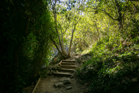Route of the footbridges, AlquÃ©zar. Beautiful route across the river crossing metal walkways and...