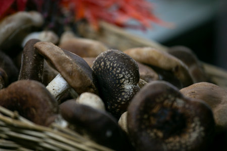 Japanese Shiitake mushrooms cooked tomato sauce at a street food stand in Tokyo.の写真素材