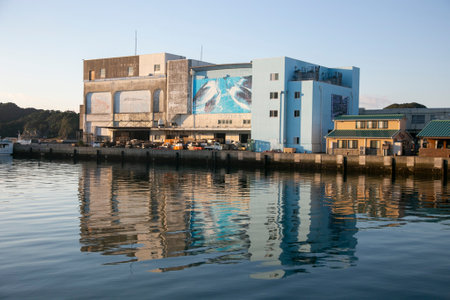 Nachikatsuura Japan 1st October 2023 Katsuura city's main fishing portのeditorial素材