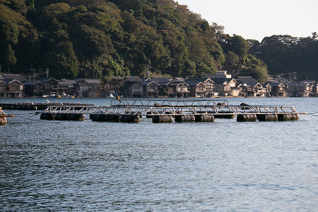 Fish farms located in Ine bay in the beautiful fishing village of Ine in north of Kyoto.の写真素材