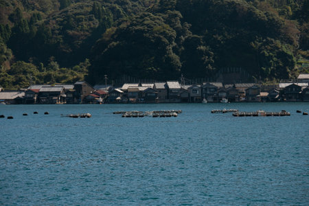 Fish farms located in Ine bay in the beautiful fishing village of Ine in north of Kyoto.の写真素材