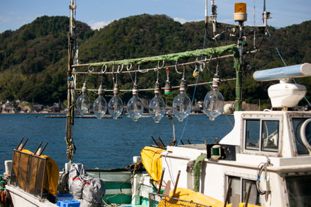 Lights from a fishing boat prepared to attract octopuses in Ine fishing village in Japan.の写真素材