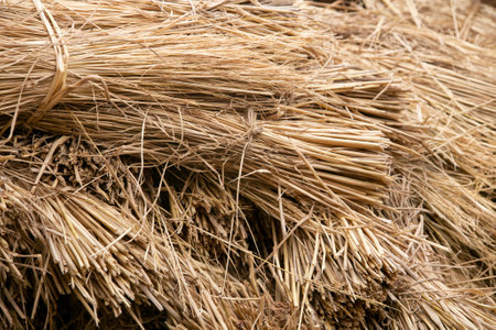 Straw piled up in a warehouse in a rural area of â€‹â€‹Japan.