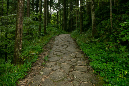 Walking the cobblestone road following the Nakasendo trail between Tsumago and Magome in Kiso Valley, Japan.の写真素材