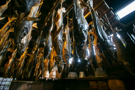 Traditional salted salmon hanging in the city of Murakami in Niigata Prefecture.
