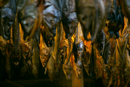 Traditional salted salmon hanging in the city of Murakami in Niigata Prefecture.