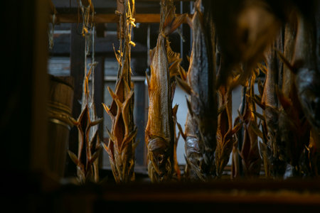 Traditional salted salmon hanging in the city of Murakami in Niigata Prefecture.の写真素材