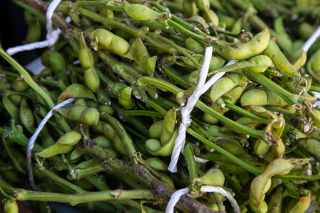 Edamame is the Japanese name for unripe soybean pods. This can be found in East Asia, such as Japan,...