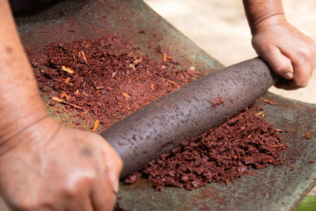 A woman in Oaxaca Mexico manually producing organic chocolate on a metate, an ancient stone tool for...