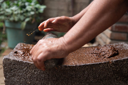 Woman from an indigenous community in Oaxaca preparing traditional Black mole with a metate, a tool for grinding ingredients in Mexico.の写真素材