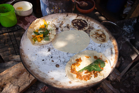 Mexican quesadillas with tomato, squash blossoms and Hoja Santa (piper auritum) cooked on a traditional griddle over fire.の写真素材