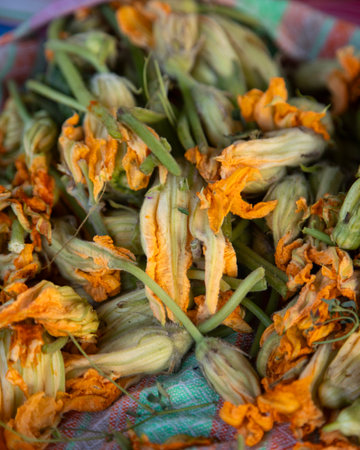 Cooking traditional squash blossom quesadillas on a comal in the Oaxaca region of Mexico.の写真素材