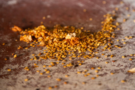 Local chili seeds from Oaxaca. The seeds are roasted and grinded with a metate to prepare the authentic Mexican black mole.の写真素材