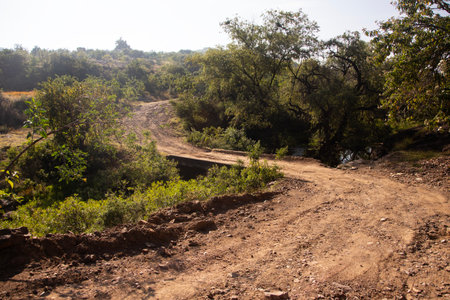 Mountain hiking trail to climb Mount Picacho in the Oaxaca Valley in Mexico.の写真素材