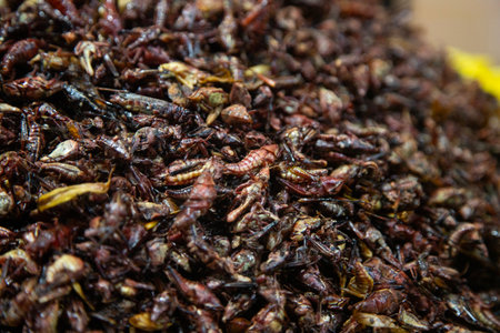 Chapulines are edible insects used in Mexican cuisine in the Oaxaca region.