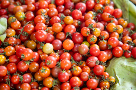 Mexican tomatillos. Small fresh red tomatoes at the Abastos market in Oaxaca, Mexico.の写真素材