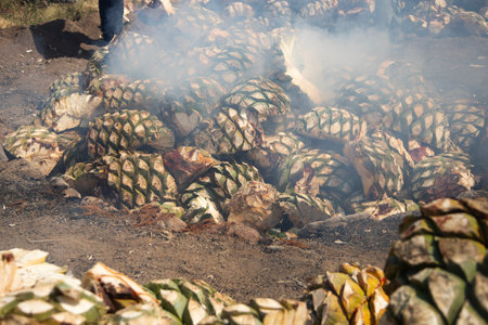 Traditional process of cooking maguey agave for the production of mezcal in the central valley of Oaxaca.の写真素材