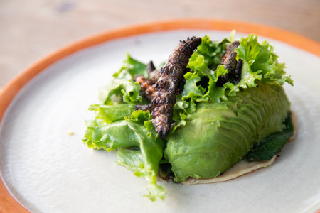 Gourmet Mexican tacos from Oaxaca with avocado and cuchama worm, a delicious edible insect.の写真素材