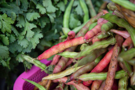 Red bean pods at a market in Oaxaca, Mexico.