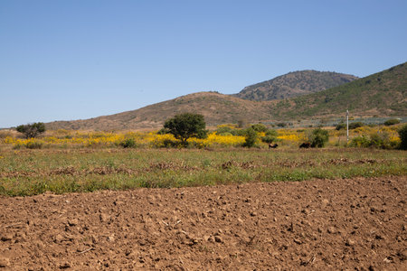 Mountains and fields in the Oaxaca Valley in Mexico.の写真素材