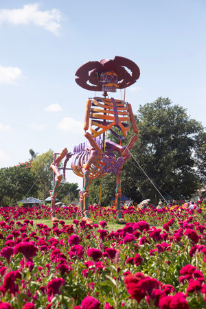 Atlixco, Puebla, Mexico; 1st November 2024: Colorful catrina figures for the Day of the Dead celebration representing characters from Mexican culture.の写真素材